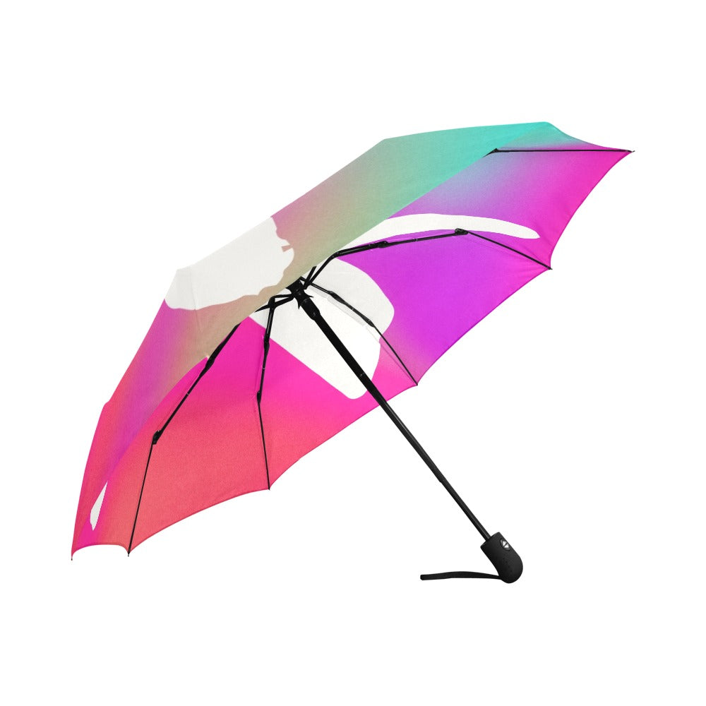 LINFA UMBRELLA X Colorful Automatic Foldable Umbrella