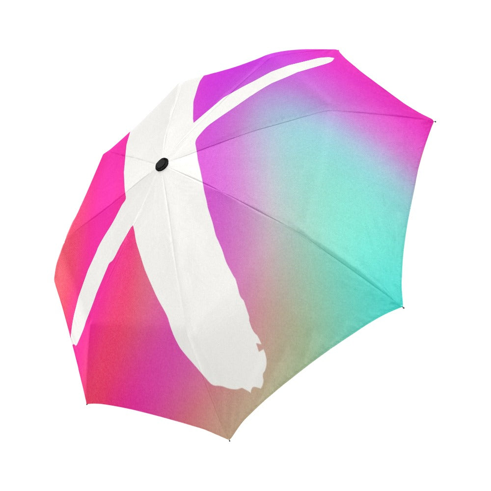 LINFA UMBRELLA X Colorful Automatic Foldable Umbrella