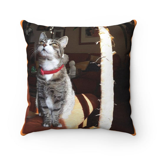 Cat Spun Polyester Square Pillow